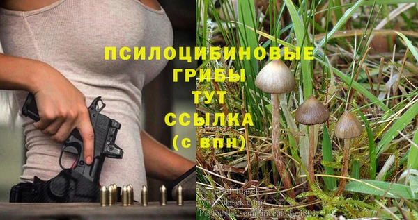 а пвп мука Липки