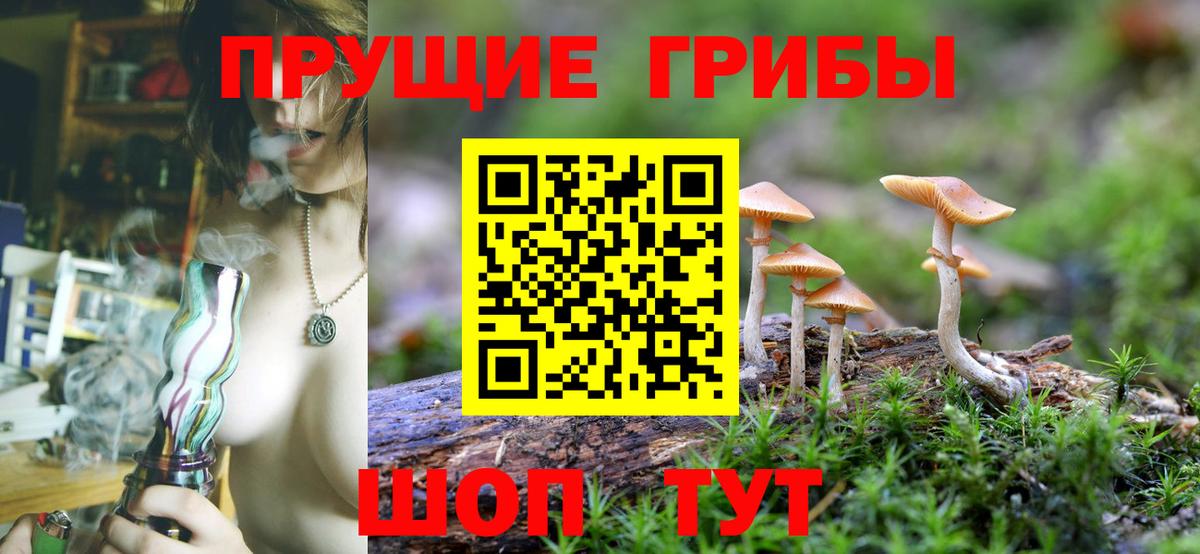 Усть-Джегута  Псилоцибиновые грибы GOLDEN TEACHER  Вход с VPN 